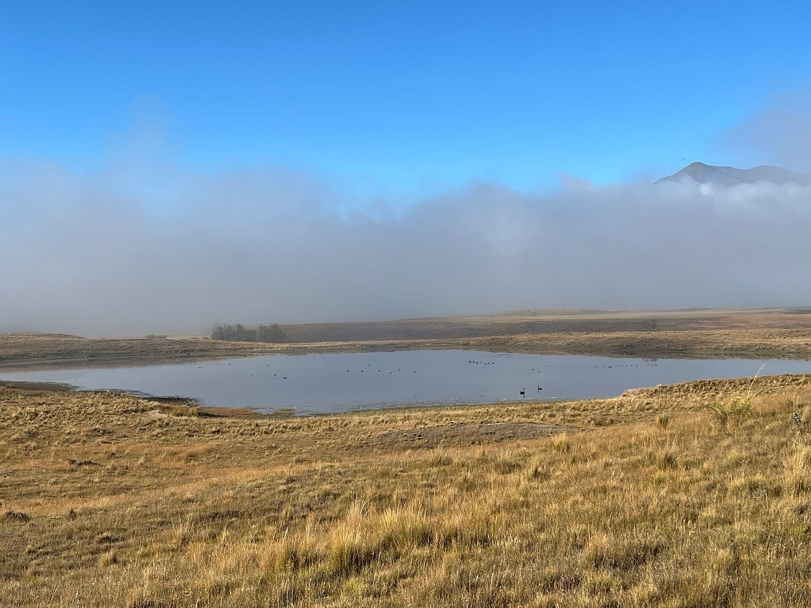 资料图:Ashburton Lakes 高原湖区景观