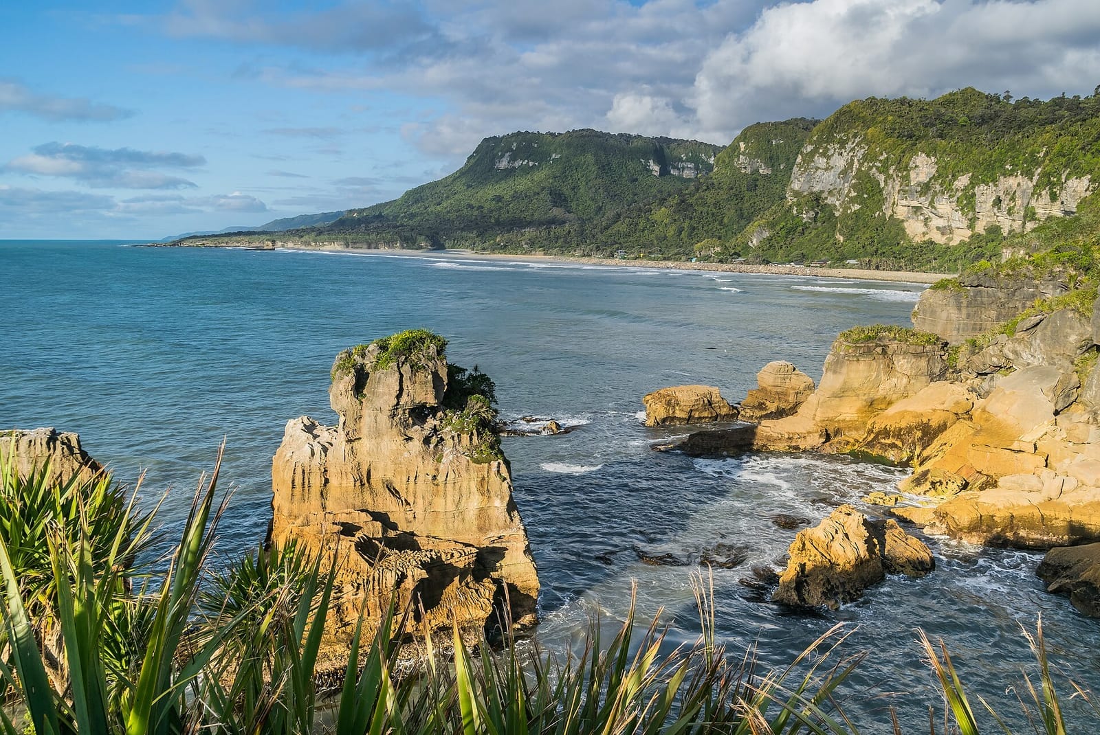 资料图:西海岸 Punakaiki 薄饼岩